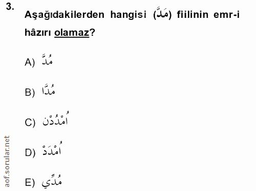 Soru 3