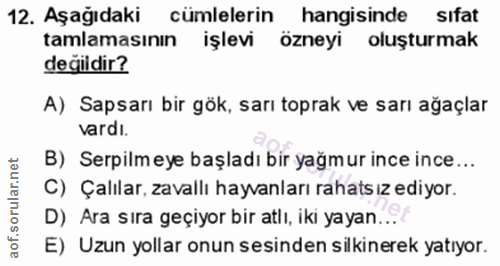 Soru 12