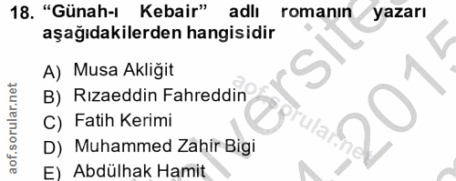 Soru 18