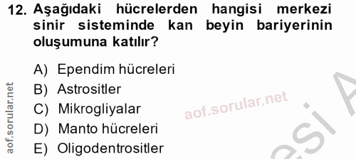 Soru 12