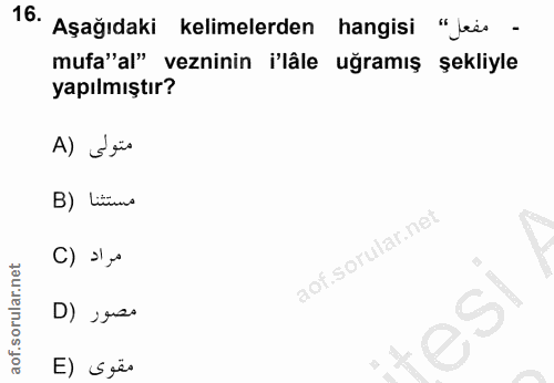 Soru 16