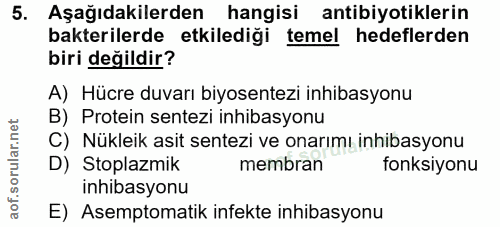 Soru 5