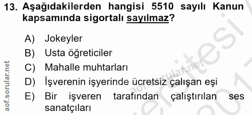 Soru 13