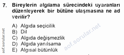 Soru 7