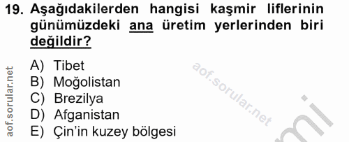 Soru 19