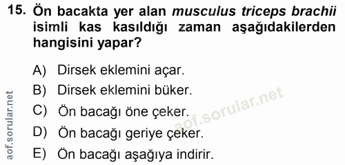 Soru 15
