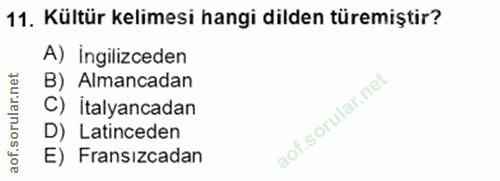 Soru 11