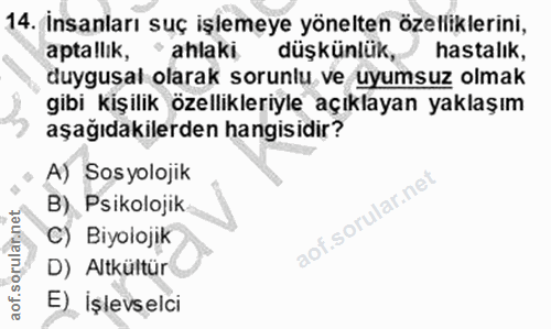 Soru 14