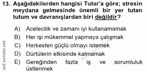 Soru 13