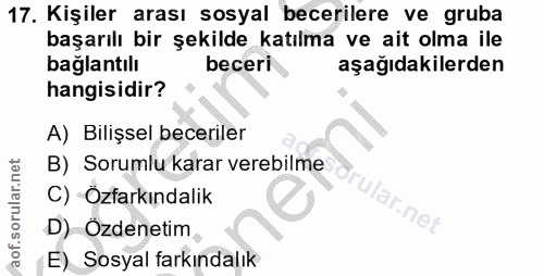 Soru 17