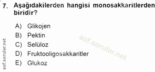 Soru 7