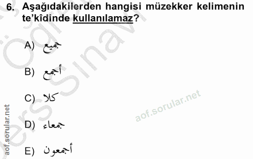 Soru 6