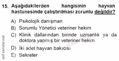 Soru 15