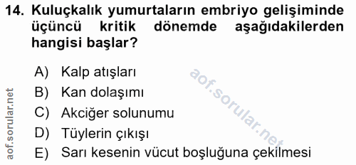 Soru 14