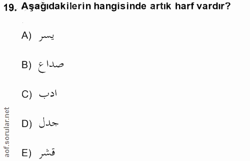 Soru 19