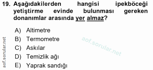 Soru 19