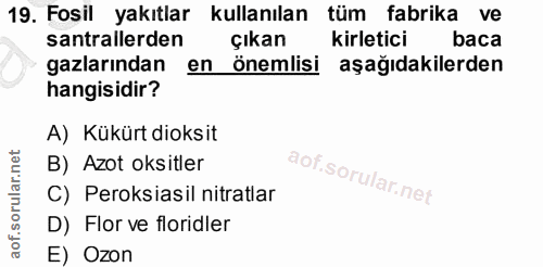 Soru 19