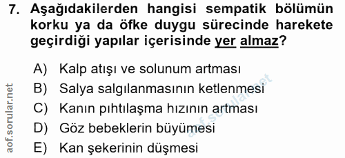 Soru 7