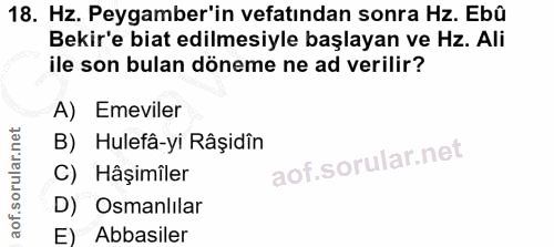 Soru 18
