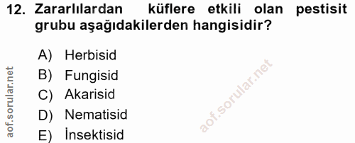 Soru 12
