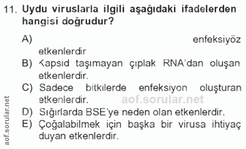 Soru 11