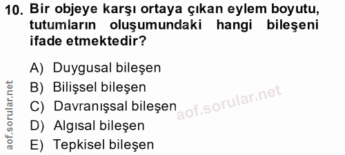 Soru 10