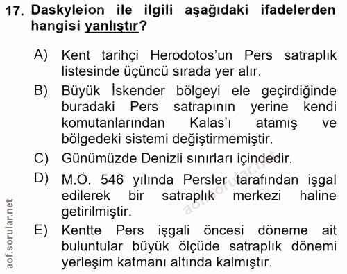 Soru 17
