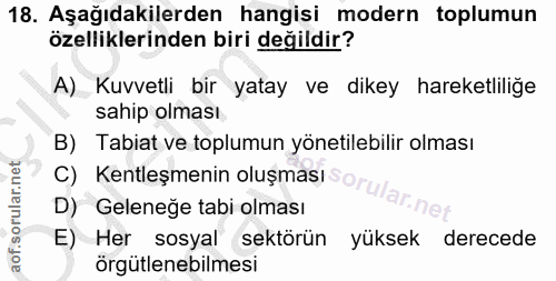 Soru 18