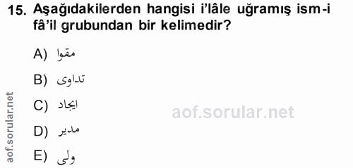 Soru 15