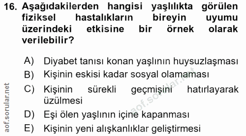 Soru 16