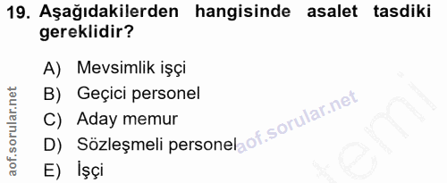 Soru 19