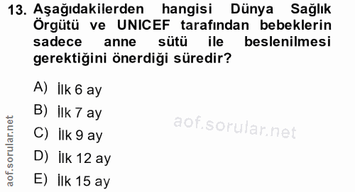 Soru 13
