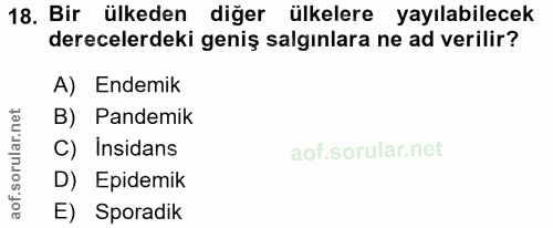 Soru 18