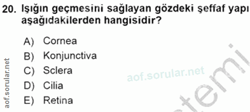 Soru 20