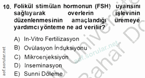 Soru 10