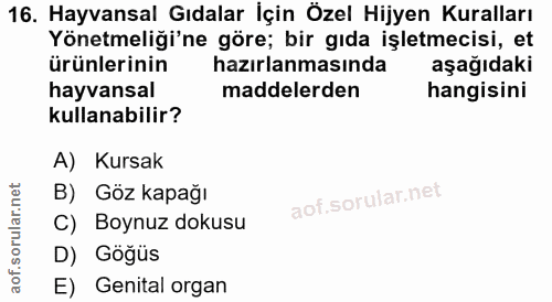 Soru 16