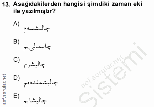 Soru 13