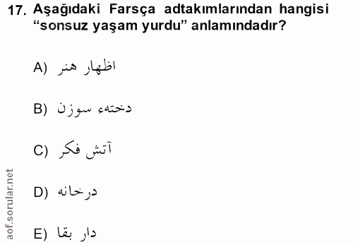 Soru 17