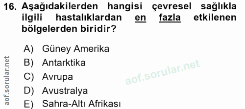 Soru 16