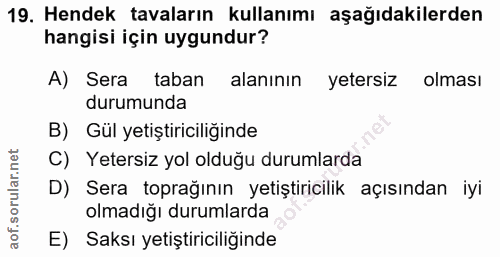 Soru 19