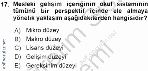 Soru 17