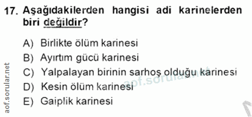 Soru 17