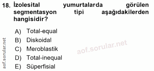 Soru 18