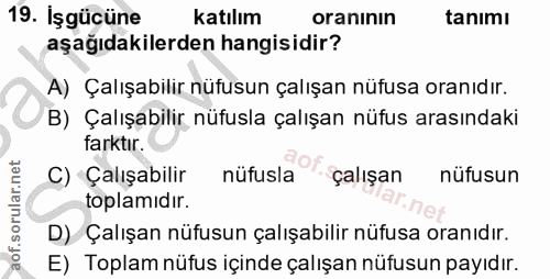 Soru 19