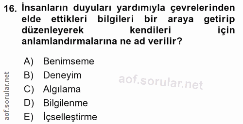 Soru 16