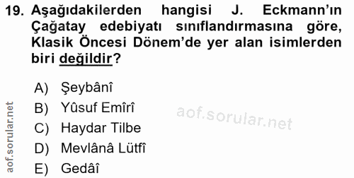Soru 19