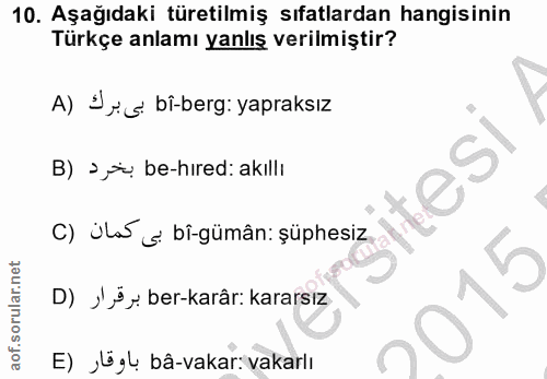Soru 10
