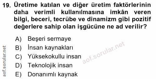 Soru 19