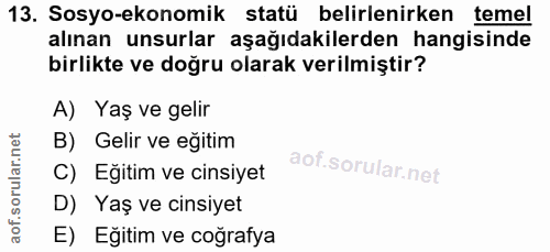Soru 13