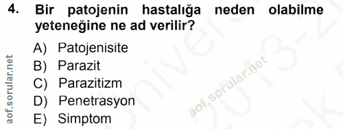 Soru 4